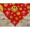 Red World Scout Faces Scarf